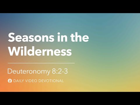 Video: Seasons in the Wilderness