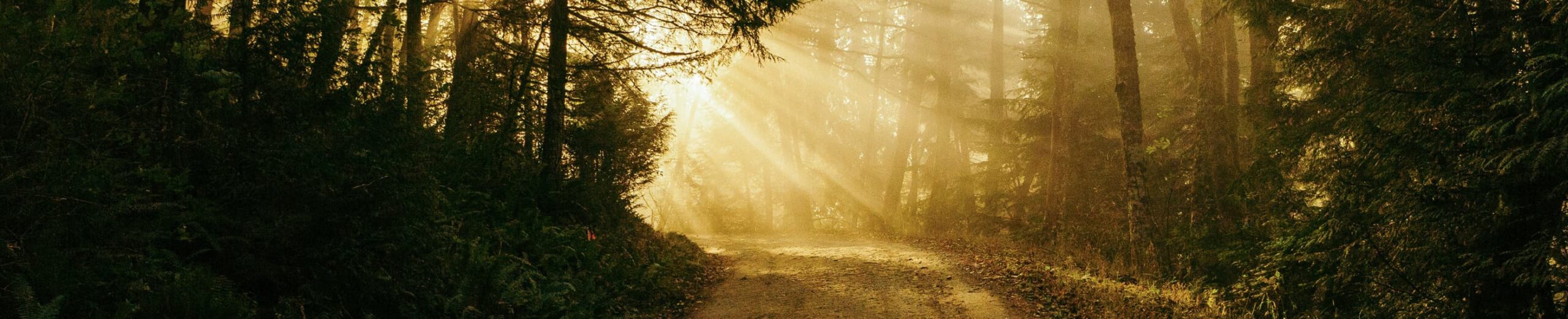 A Path Forward